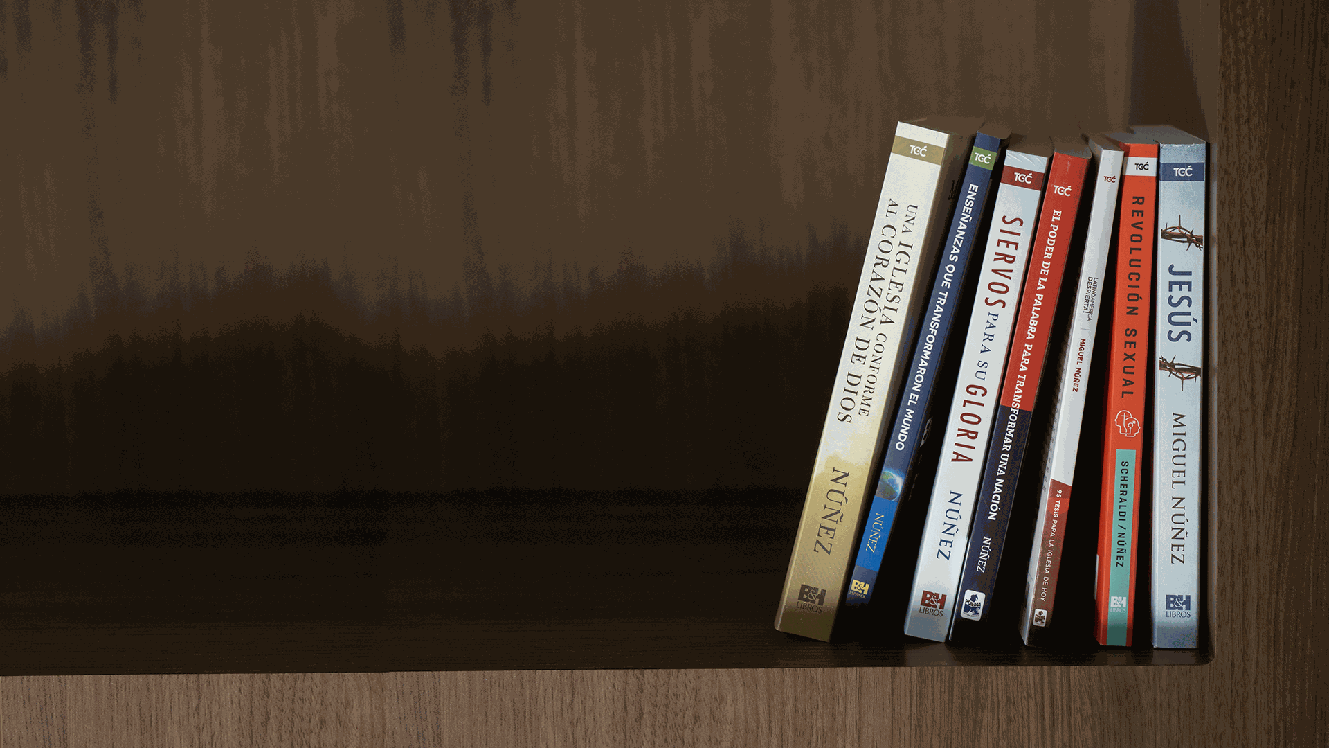 Odoo • Texto e imagen