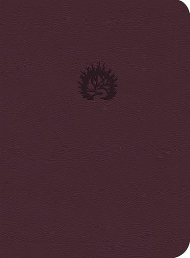 Biblia de Estudio de la Reforma, LBLA, Simil piel, ciruela (R.C. Sproul, editor gral.)