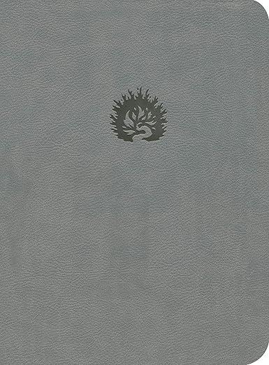 Biblia de Estudio de La Reforma, LBLA, Simil piel, gris claro (R.C. Sproul editor gral.)