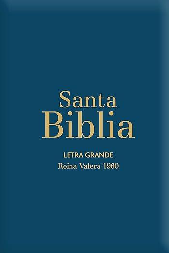 Biblia RVR60 Letra Grande/Tamaño manual - Azul acero con indice y cierre (Monsgo)